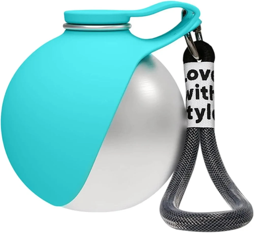 Stainless Steel Travel Pet Bowl