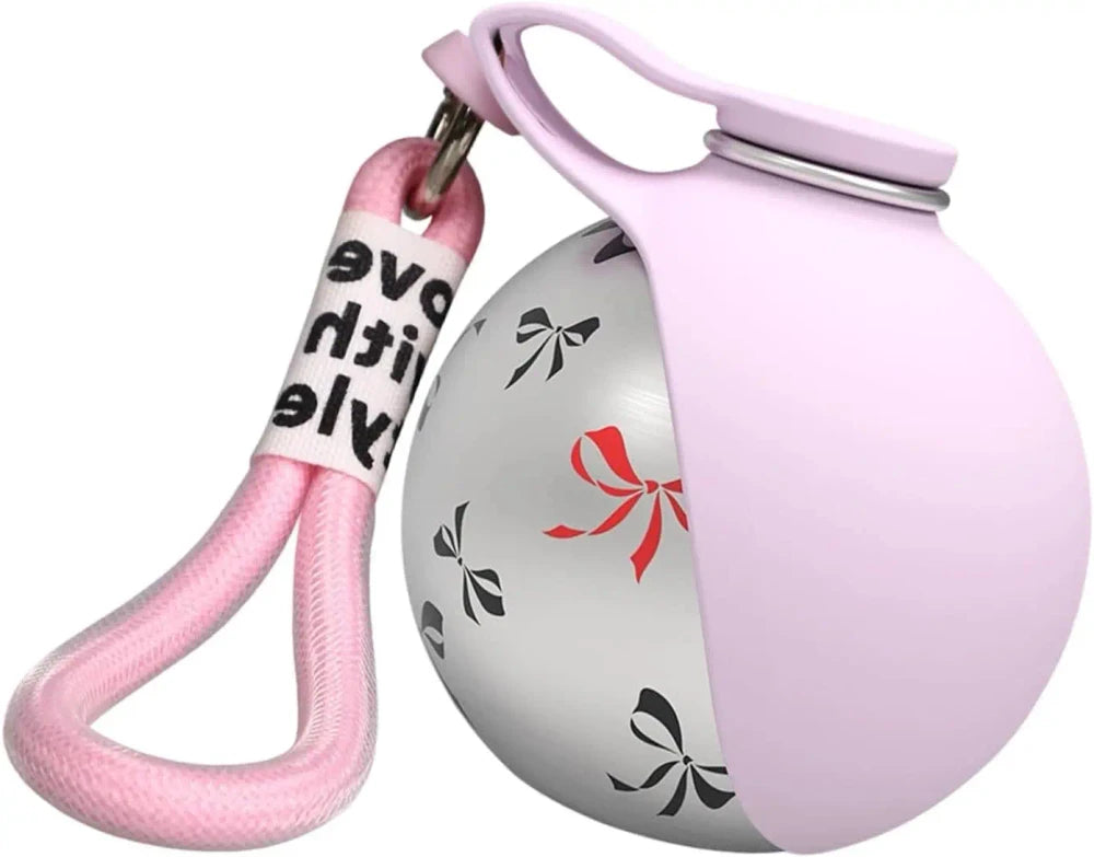 Stainless Steel Travel Pet Bowl