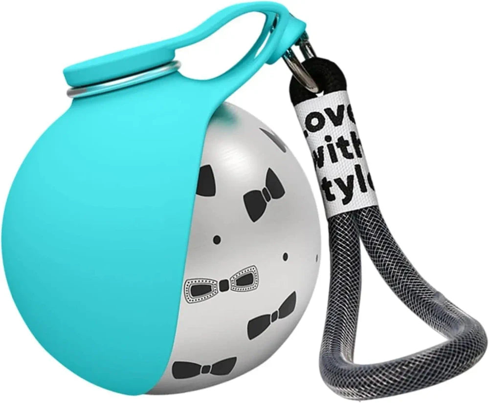 Stainless Steel Travel Pet Bowl