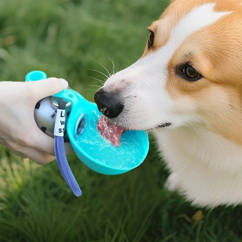 Stainless Steel Travel Pet Bowl